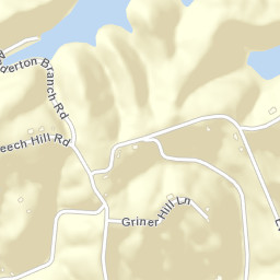 Beech Hill Tennessee Street Map