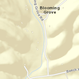 Blooming Grove Tennessee Street Map