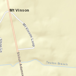 Mount Vinson Tennessee Street Map
