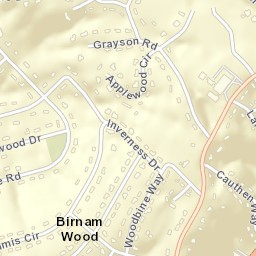 Birnam Wood Tennessee Street Map