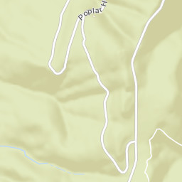 Benton Springs Tennessee Street Map