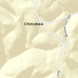 Chinubee Tennessee Street Map