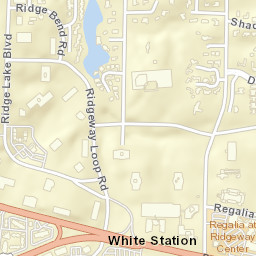 White Station Tennessee Street Map