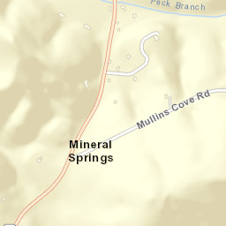 Mineral Springs Tennessee Street Map