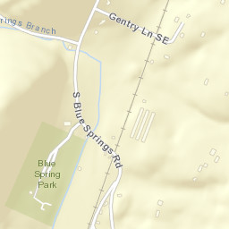 Blue Springs Tennessee Street Map