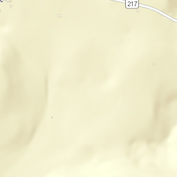 11087 Arkansas 217, Booneville, AR 72927 Street Map