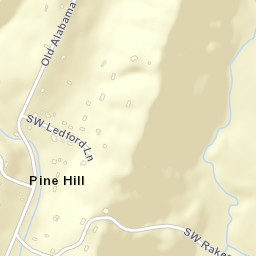 Pine Hill Tennessee Street Map
