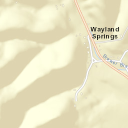 Wayland Springs Tennessee Street Map