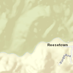 Reesetown Tennessee Street Map