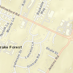 Drake Forest Tennessee Street Map