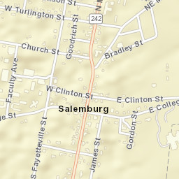 110 Fayetteville Street, Salemburg, NC Street Map