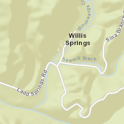 Willis Springs Tennessee Street Map