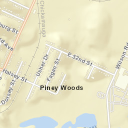 Piney Woods Tennessee Street Map