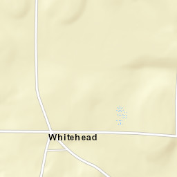 Whitehead Alabama Street Map