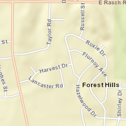 Petersville Alabama Street Map