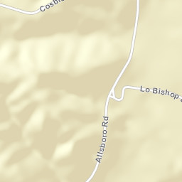 Bishop Alabama Street Map