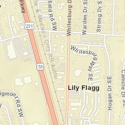Lily Flagg Alabama Street Map