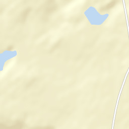 Ligon Springs Alabama Street Map