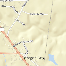 Morgan City Alabama Street Map