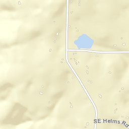 Briscoe Alabama Street Map