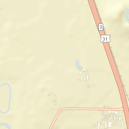 Lacon Alabama Street Map