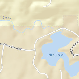 Pine Lake Village Alabama Street Map