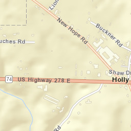 Holly Pond Alabama Street Map