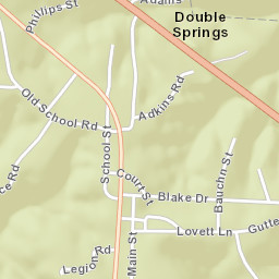 Double Springs Alabama Street Map