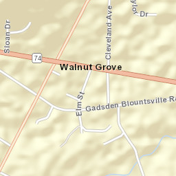 Walnut Grove Alabama Street Map