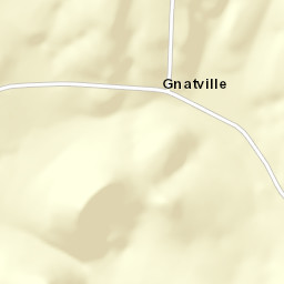 Gnatville Alabama Street Map