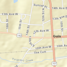 Guin Alabama Street Map