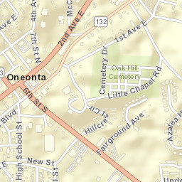 Oneonta Alabama Street Map