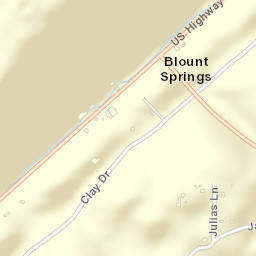 Blount Springs Alabama Street Map