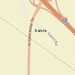 Salvia California Street Map