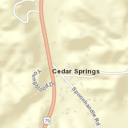 Cedar Springs Alabama Street Map