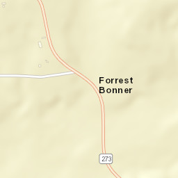 Forrest Bonner Arkansas Street Map