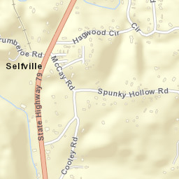 Selfville Alabama Street Map