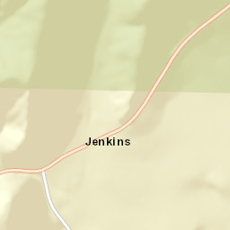 Jenkins Alabama Street Map