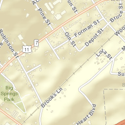 Springville Alabama Street Map