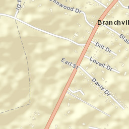 Branchville Alabama Street Map