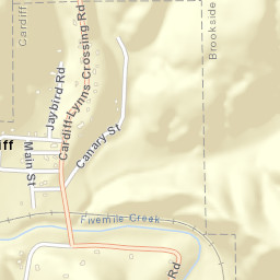 Cardiff Alabama Street Map