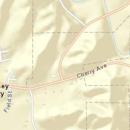 Daisey City Alabama Street Map