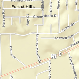 Forest Hills Alabama Street Map