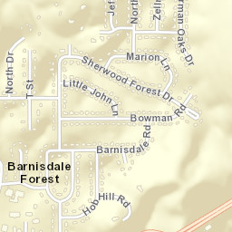 Barnisdale Forest Alabama Street Map
