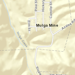 Mulga Mine Alabama Street Map