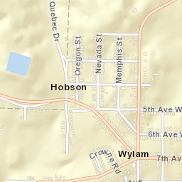 Hobson Alabama Street Map