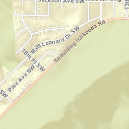 Mason City Alabama Street Map