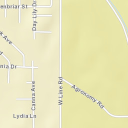 117 Canna Ave Starkville MS 39759 Street Map