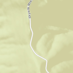 Taylors Mill Alabama Street Map