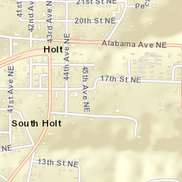 South Holt Alabama Street Map